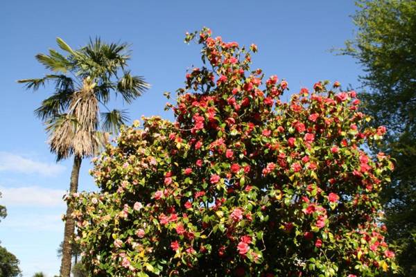 Maranatha Country House