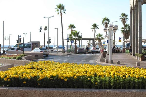 Miami Beach Hotel Tel Aviv