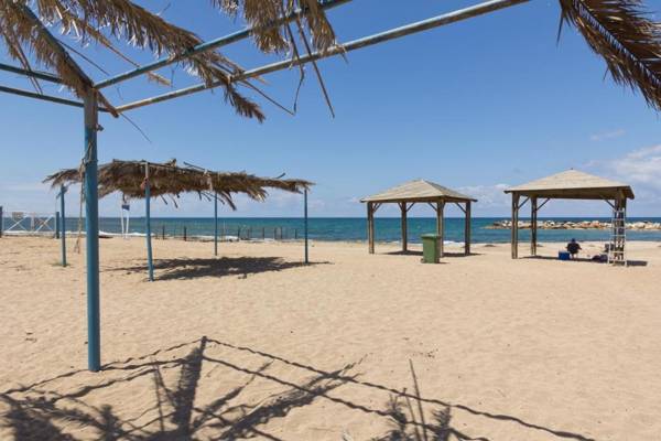 Olive Dolphin Village