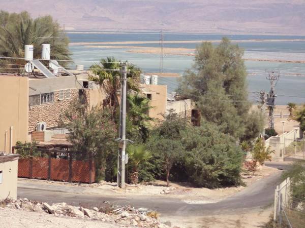 Rose Dead Sea Neve Zohar