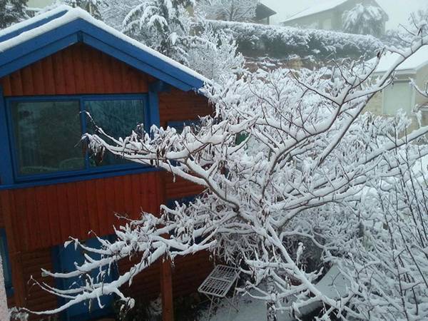 In our backyard - Metula