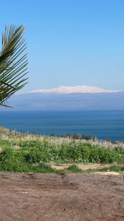 Kinneret View