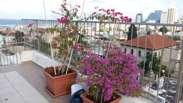 Apartment Haifa