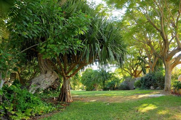 Ein Gedi Kibbutz Hotel