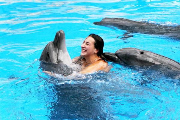 Sunset apartment's Residence du Golf