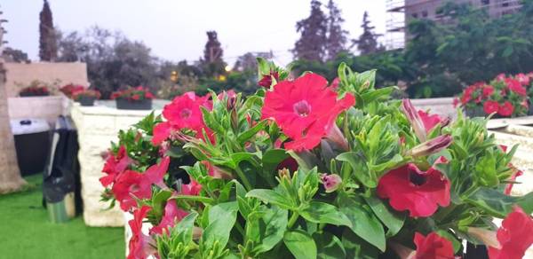 La Finca Luxury Suites Hotel