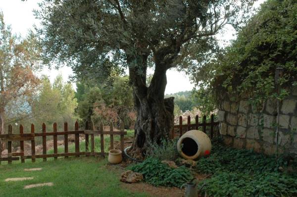 Honny - Boutique Hotel