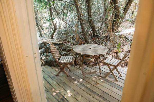 Blue House In The Woods- Amirim