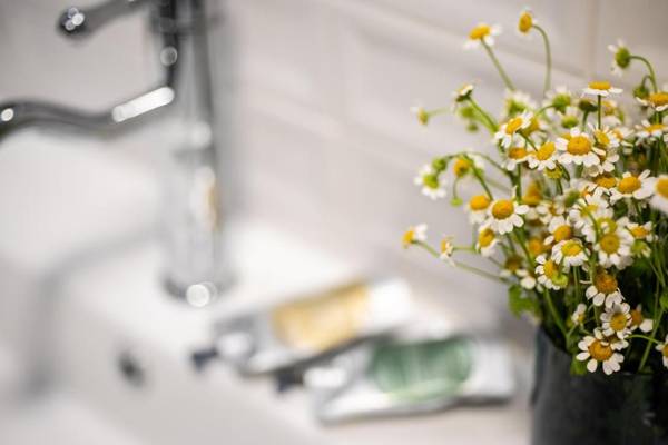 The David Story Boutique