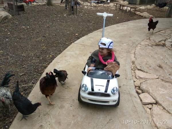 At Our Yard - Vacation Apartments in upper Galilee