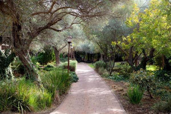 Mantur West Galilee by Selina