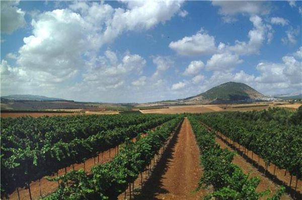 Galilee Best Location