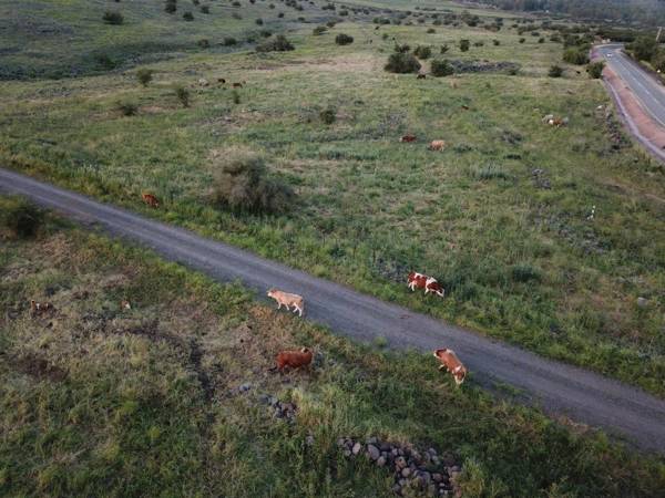 Cnaan Village Boutique Hotel & Spa