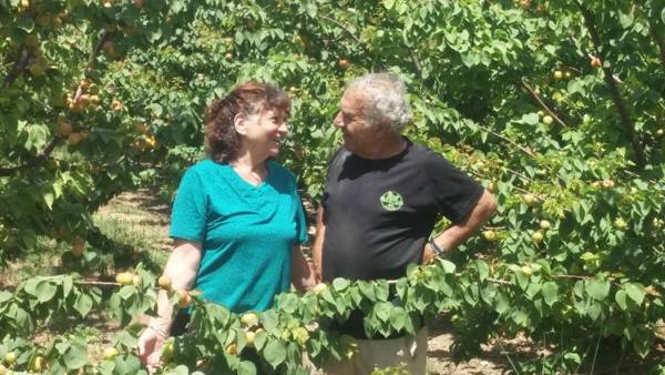 Nuriel Fruit & Guest House