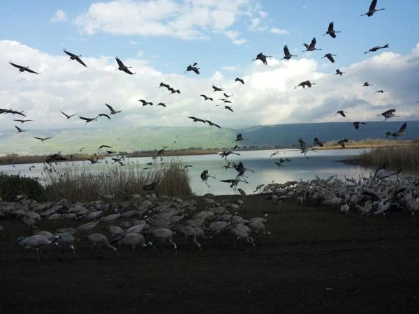 אצלנו - בגליל העליון