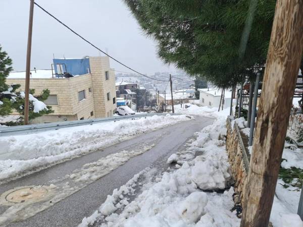 צימר עץ זוגי vida bhermon