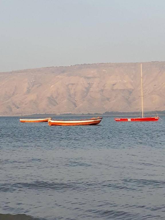 Kmo Yam In The Love Garden