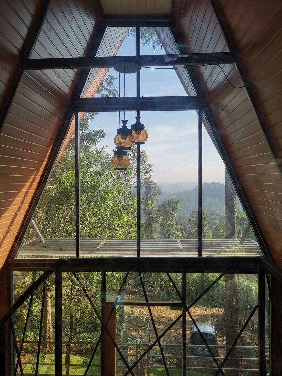 Wild root stay- Orchid Chalet