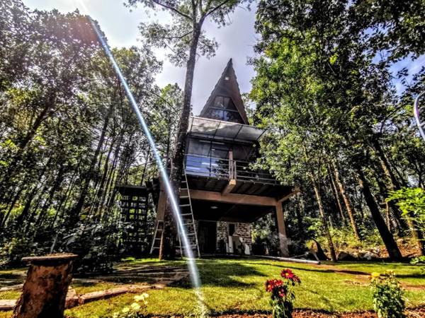 Wild root stay- Orchid Chalet