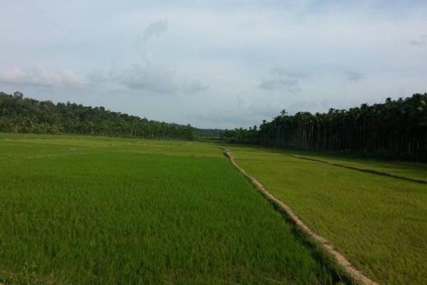 Wayal Wayanad Twin Villa