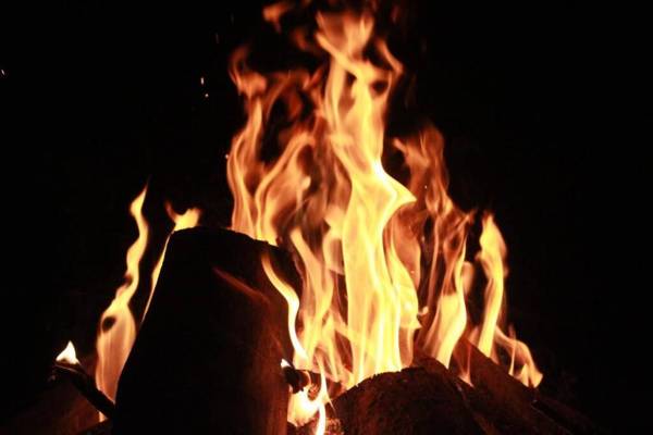 Wayal Wayanad Twin Villa