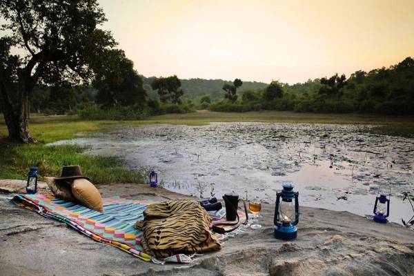 Renest Bandhavgarh Meadows