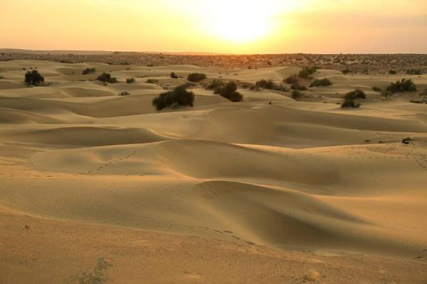 Sunny Desert Camp