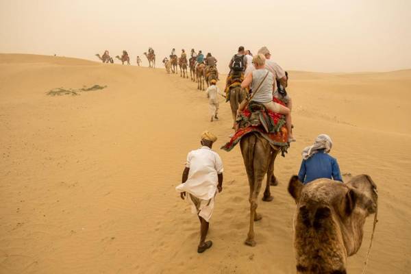 Lazy Camel Safari Camp