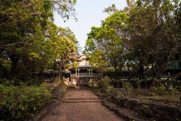 Dune Barr House - Verandah in the Forest