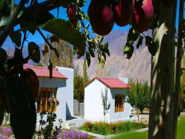 Himalayan Eco Resort