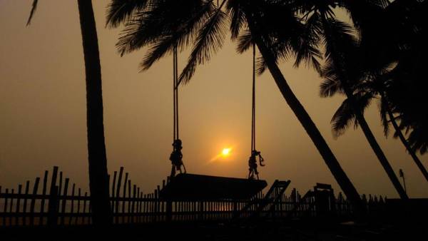 Wild Palms on Sea