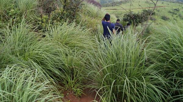 Wind Valley Homestay