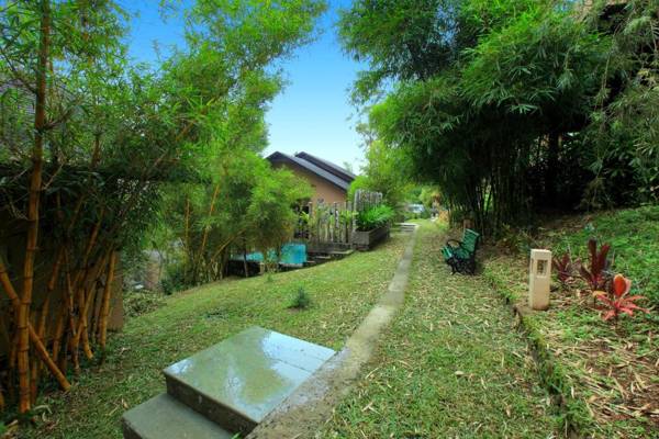 Tea Terrain Resorts & Spa