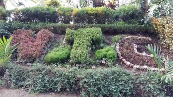 Coorg Adventures Tent Stay AND SPA