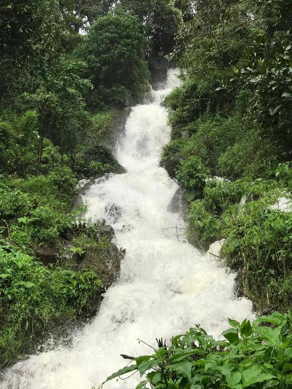 Shreegandha Homestay