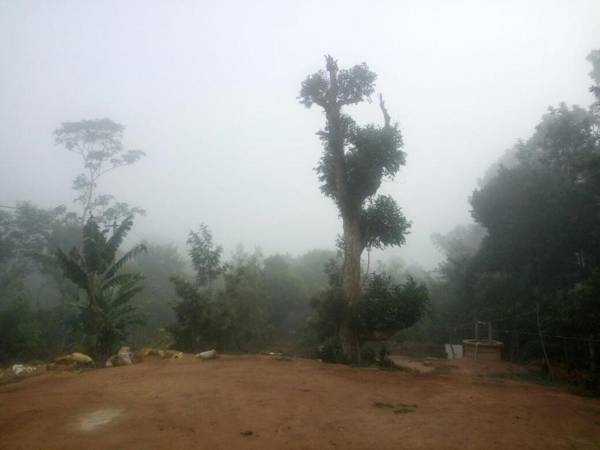 coorg camping tent stay