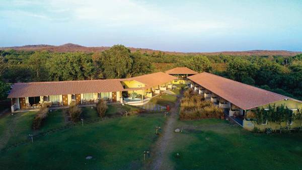 Asiatic Lion Lodge