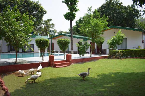 Corbett Paradiso Resorts