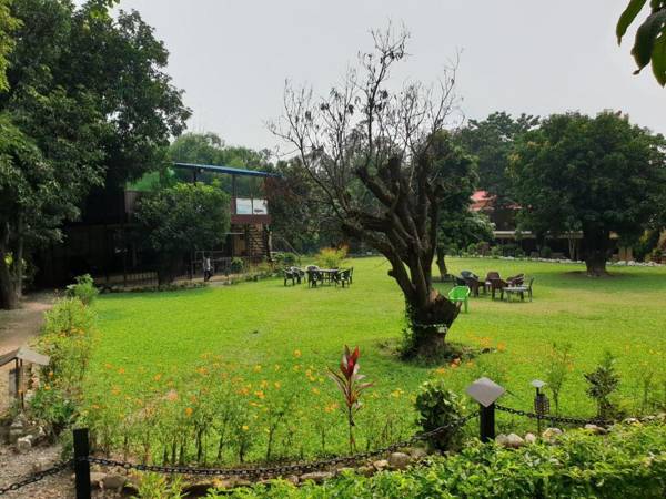 Tejomaya Jungle Retreat