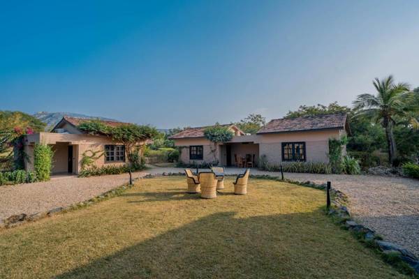 Clarks Safari Pushkar