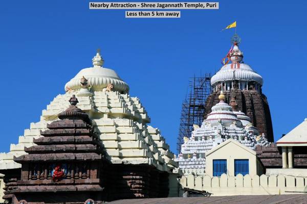 Capital O 28224 Victoria Royal