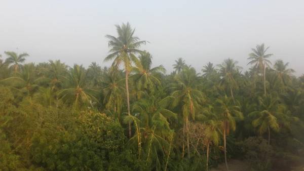 Holi-Wood Guesthouse