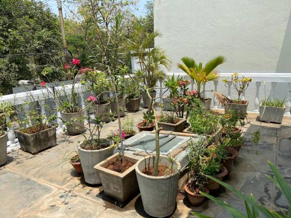 White Villa Guest House Pondicherry