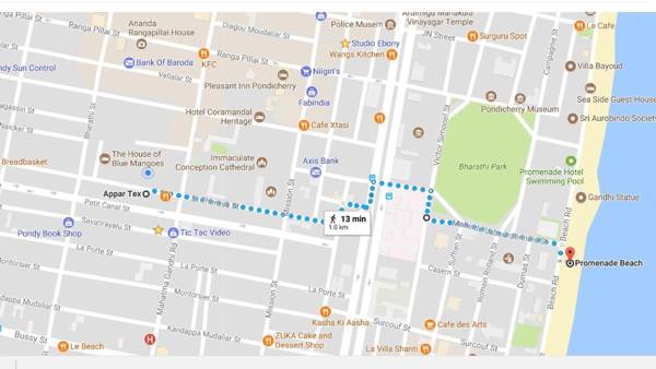 The Wildflowers of Walden