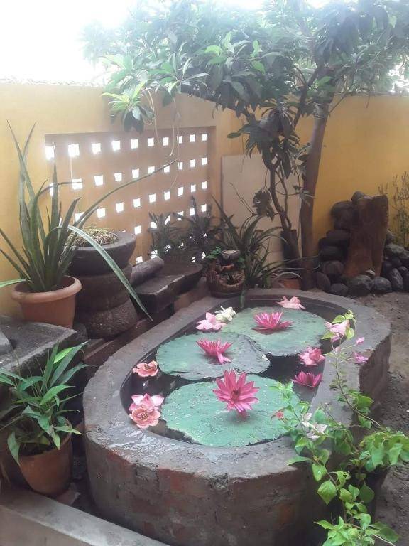 ELISA HOME STAY VILLA