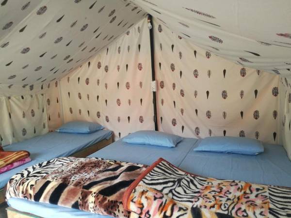 Monkey Mud Cafe and Camps