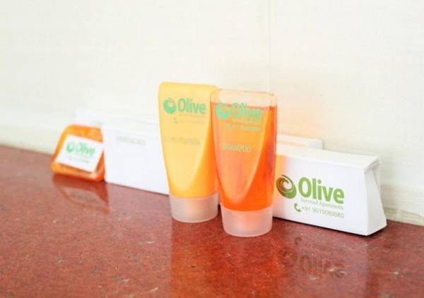 BluO Classic 1BHK - Defence Colony Market