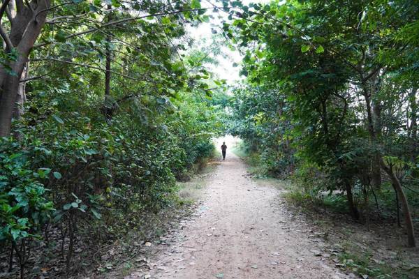 OYO Flagship 92272 Madhav Palace