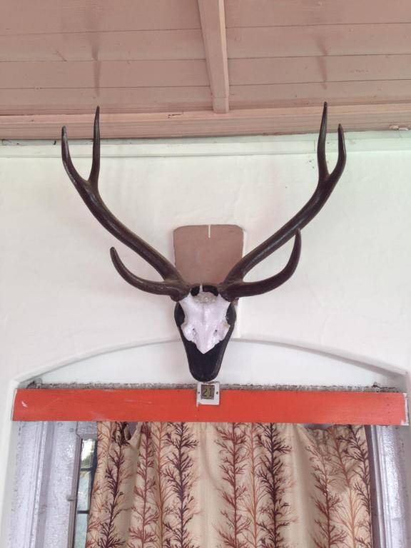 Prince Hotel Mallroad