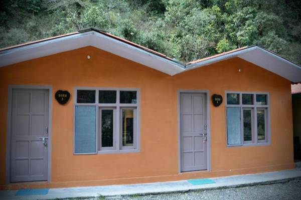 Hostel Trees of Heaven